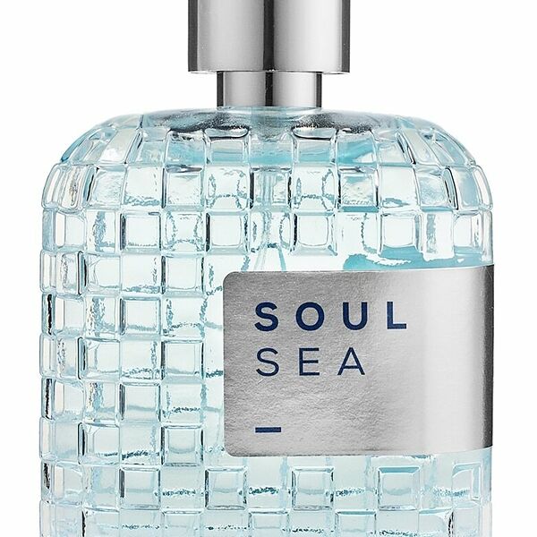 LPDO Soul Sea Парфюмерная вода муж., 100 мл