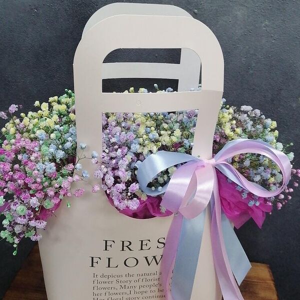 Радужная сумочка