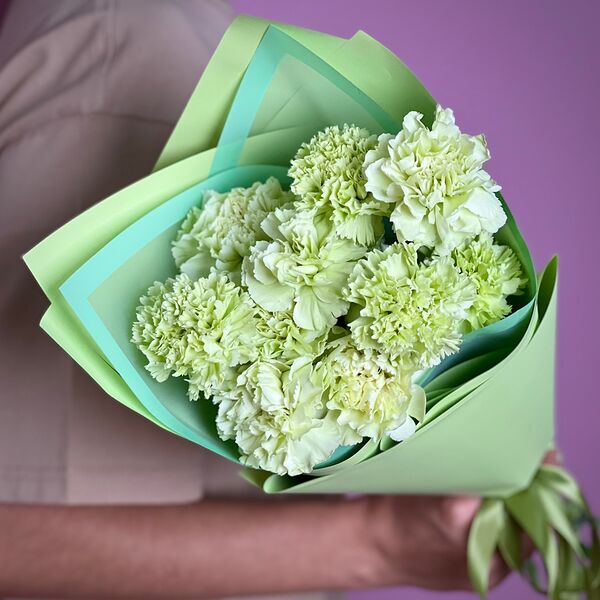 Букет из 11 фисташковых гвоздик