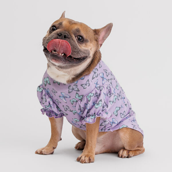 Футболка для собак, XL, сиреневая с бабочками
