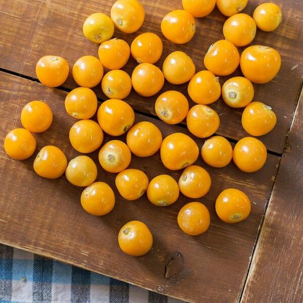 Физалис, 100 г