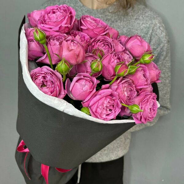 Мисти Баблс х9