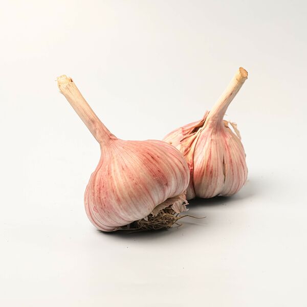 Чеснок молодой