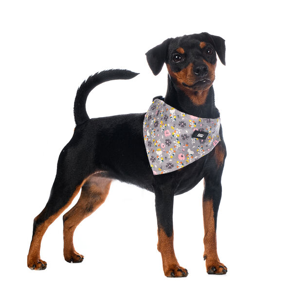 Ошейник-Бандана для собак средних пород серая в цветочек 26-42х1,5 см