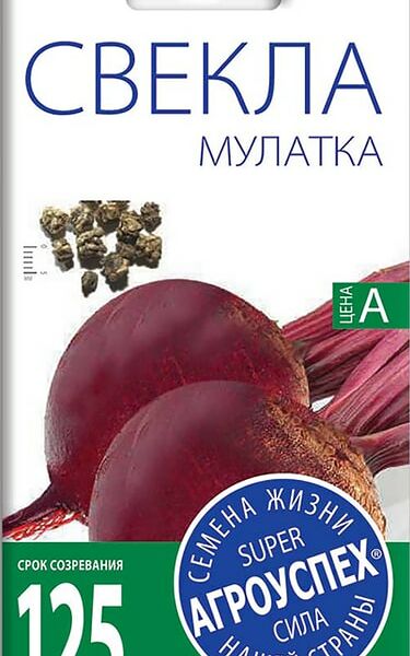 Семена Агроуспех Свекла Мулатка 2г