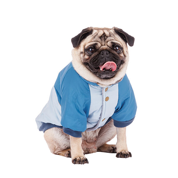 Куртка для собак L голубой (унисекс)