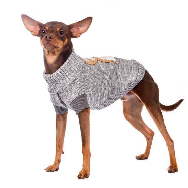 Свитер для собак Ленивец 45см 2XL серый (унисекс)