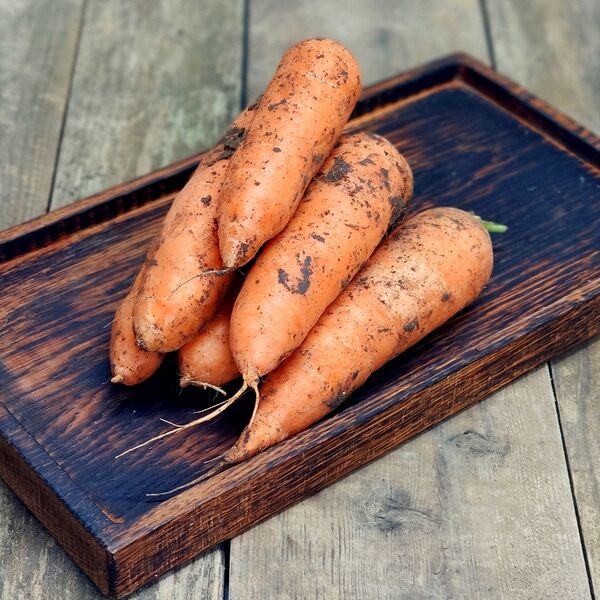 Морковь (грязная)