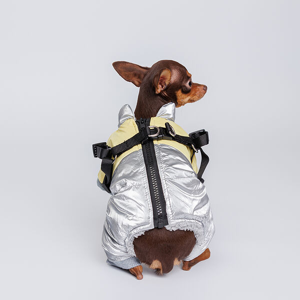 Комбинезон для собак, XS, серебряно-желтый (девочка)
