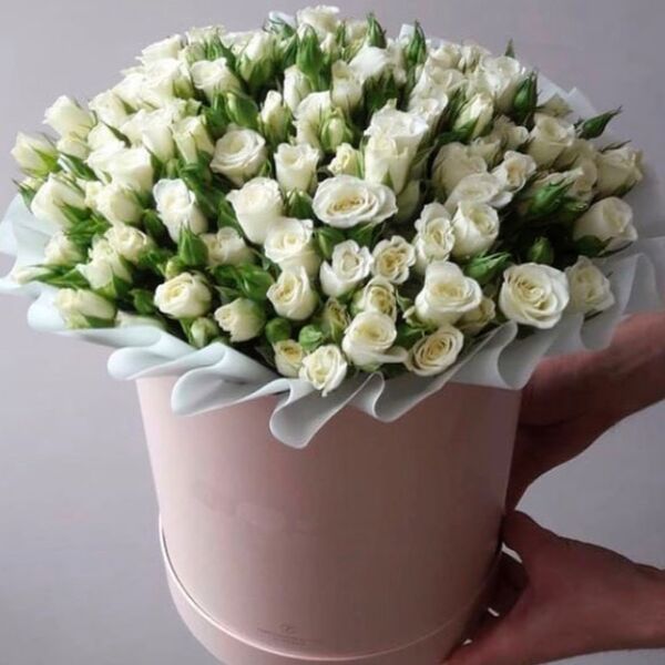 Роза Сноуфлейк в шляпной коробке