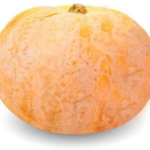 Тыква Био серая, кг