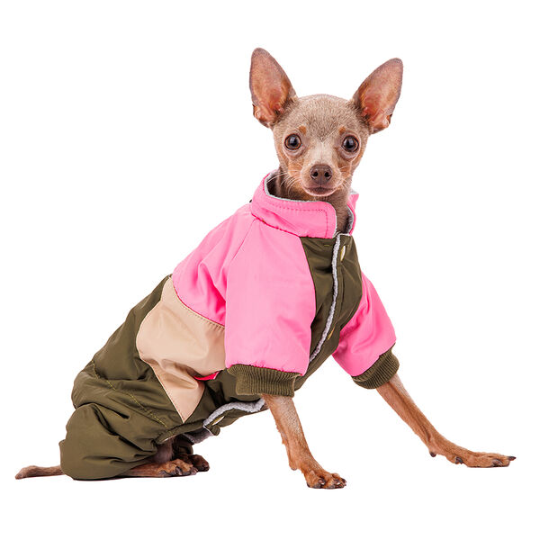 Комбинезон Petmax для собак M зеленый (девочка)