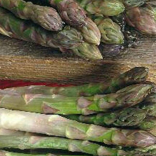 Семена Спаржа Царская ТМ Поиск