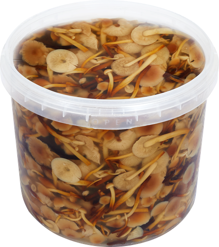 Грибы маринованные Опята вес (ТД Азия) ТД АЗИЯ до 200г