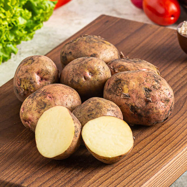 картофель Лорх