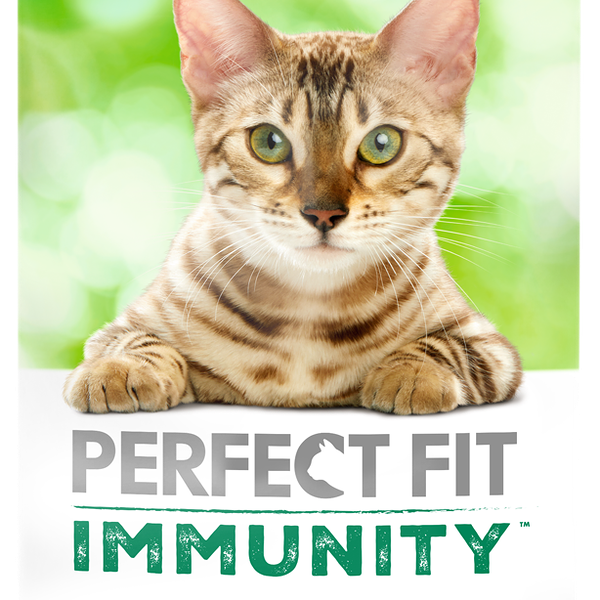 Сухой корм Perfect Fit Immunity для иммунитета кошек говядина, семяна льна, голубика 5.5кг