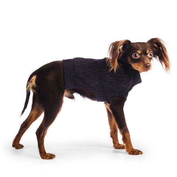 Свитер Petmax вязаный для собак 25см S черный (унисекс)