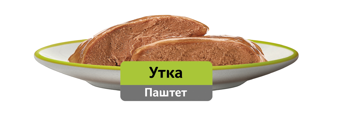 

Влажный корм Whiskas для кошек паштет с уткой 75 г
