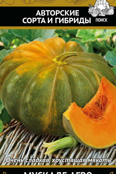 Семена тыква - мускат мускаде ТМ Поиск