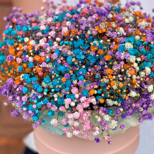 Цветная гипсофила в коробке S