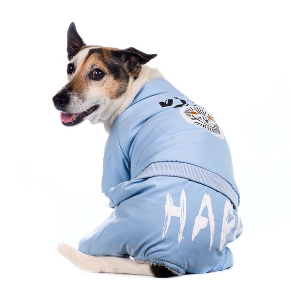 Комбинезон для собак King 2XL голубой (унисекс)
