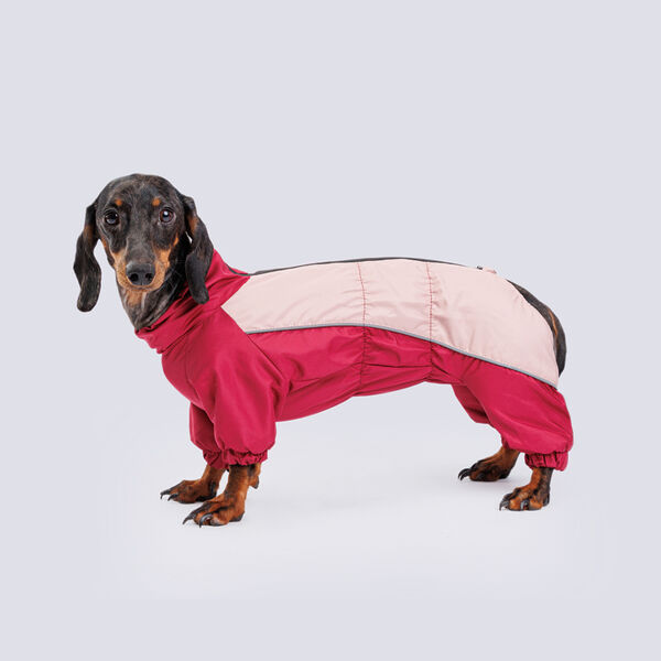 Комбинезон теплый для кроличьей таксы, 28x33x49 см, пудра-бордо (девочка)