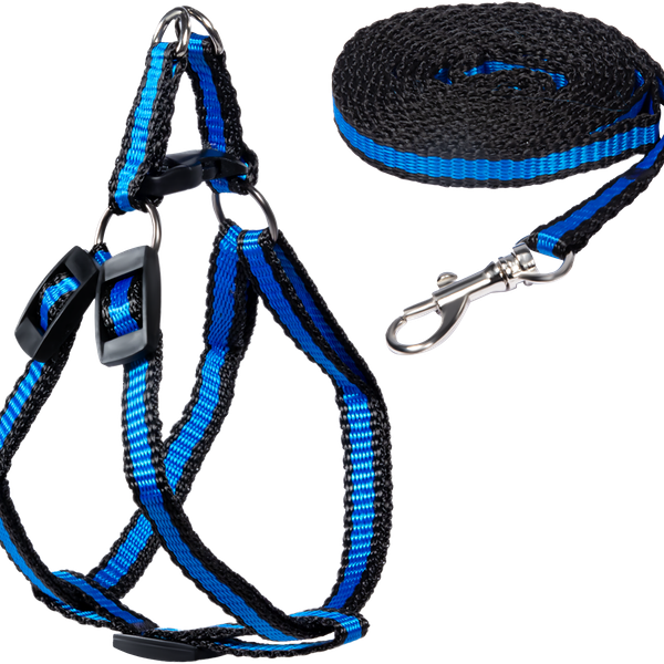 Комплект для щенка GAMMA Шлейка 28-34x8,5см и поводок 1x130см из капрона