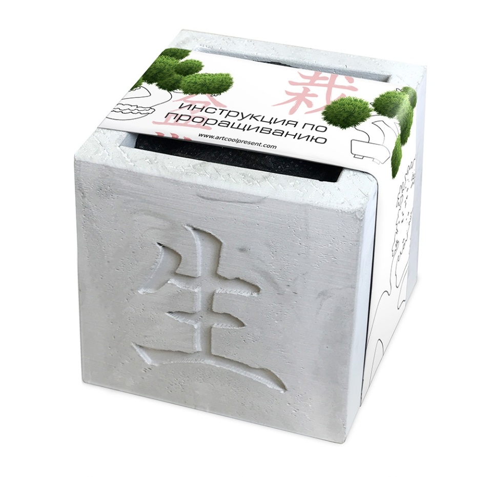 

Подарочный набор Вырасти Бонсай дома. Кипарис В дизайнерском кубике ручной работы, Россия