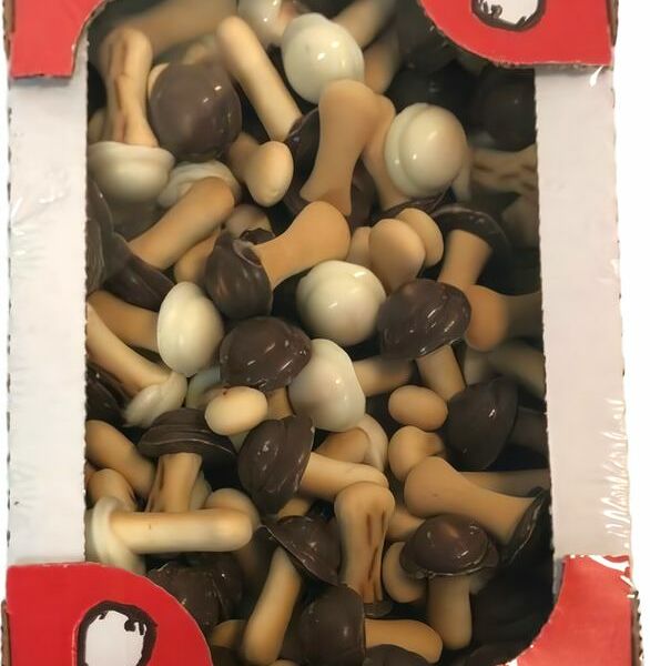 Печенье Чеховский кондитер Чеховские грибочки ассорти 200г