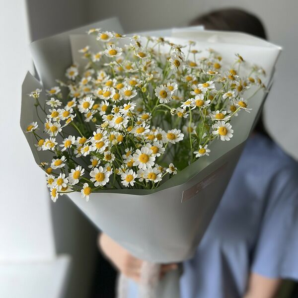 Букет из ромашек 5 штук