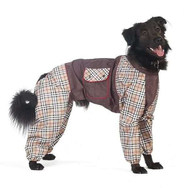 Комбинезон холодный для собак Стаффордширский терьер 3XL (мальчик)