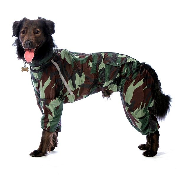 Комбинезон теплый для собак Вест хайленд уайт терьер L камуфляж (мальчик)