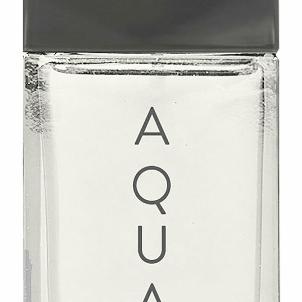 GIAN MARCO VENTURI Aqua Туалетная вода муж., 100 мл