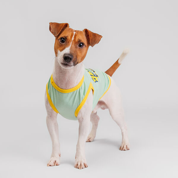 Борцовка для собак, XL, зеленая