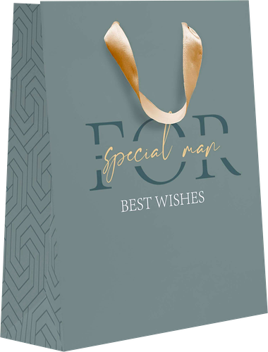 Пакет подарочный Diplomat, 14,6х11,4х6,4см, размер S