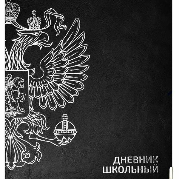 Дневник школьный для 1-11 классов Феникс+ А5+ кожзам, 48 л