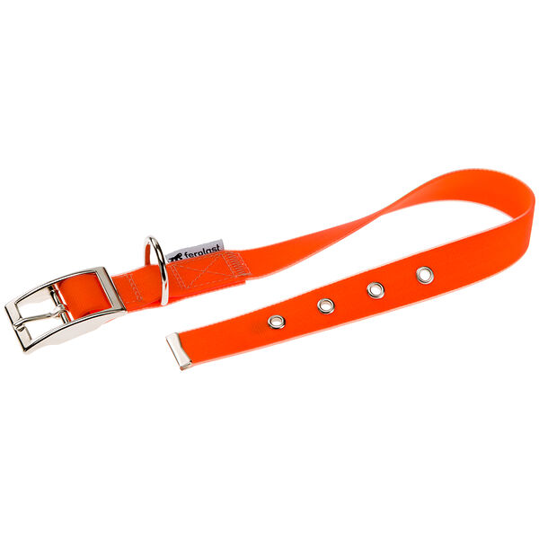 DAYTONA ARANCIO COLLARE Ошейник для собак средних пород оранжевый 53х2,5 см
