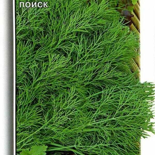 Семена Укроп Симфония