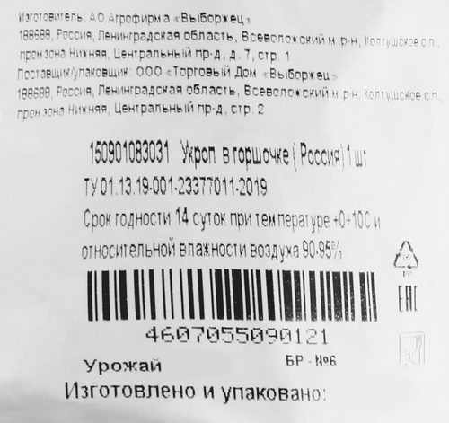 

Укроп, в горшочке, 50г