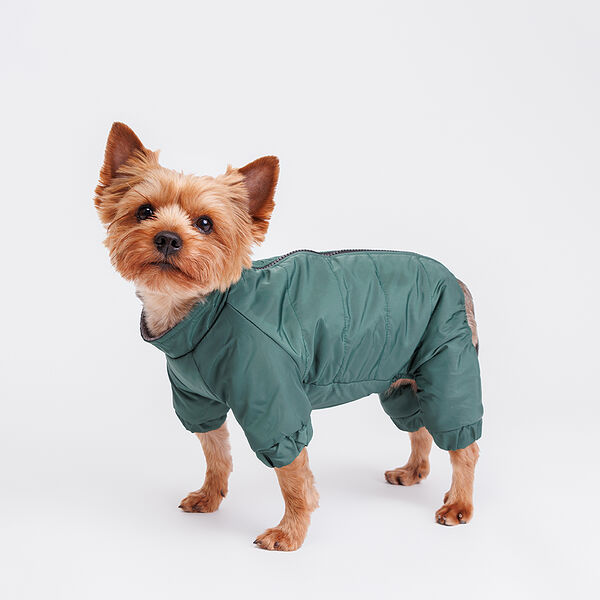 Комбинезон с замком для собак, S, зеленый (девочка)