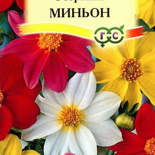 Семена Георгина Миньон ТМ Гавриш