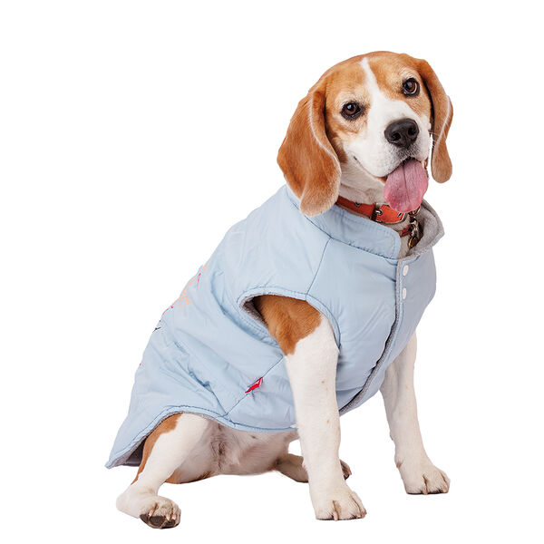 Куртка для собак 2XL голубой (унисекс)