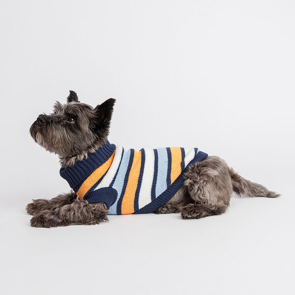 Свитер полосатый для собак, 35 см, оранжево-голубой