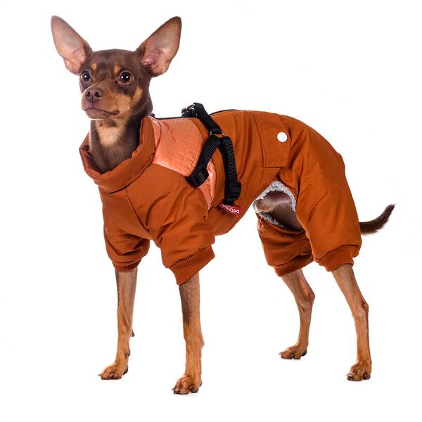 Комбинезон на молнии со шлейкой для собак Petmax 2XL оранжевый (унисекс)