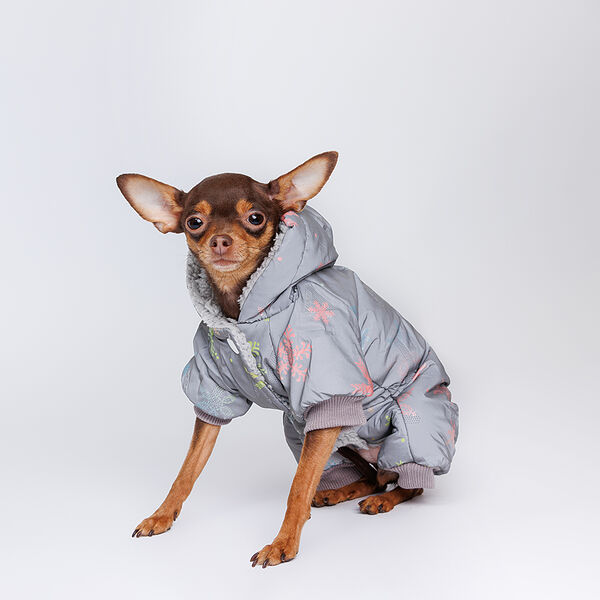 Комбинезон для собак со снежинками XS серый (девочка)