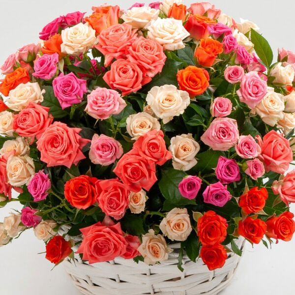 Букет из 51 розы в корзине Первый поцелуй