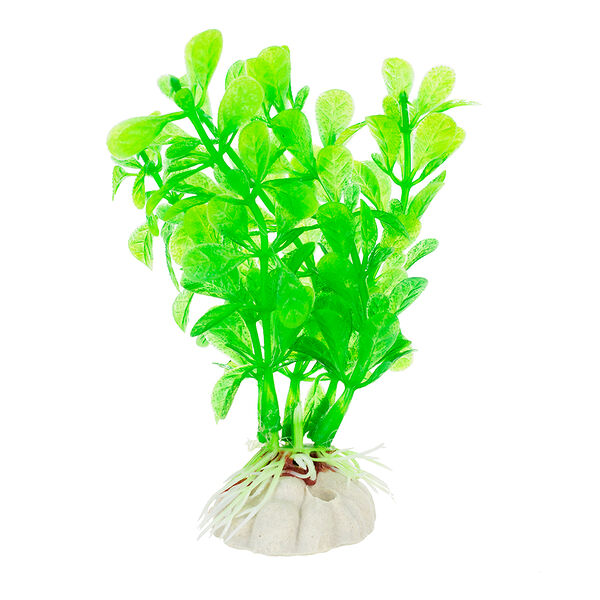 AquaFantasy Растение зеленое с листьями 10см