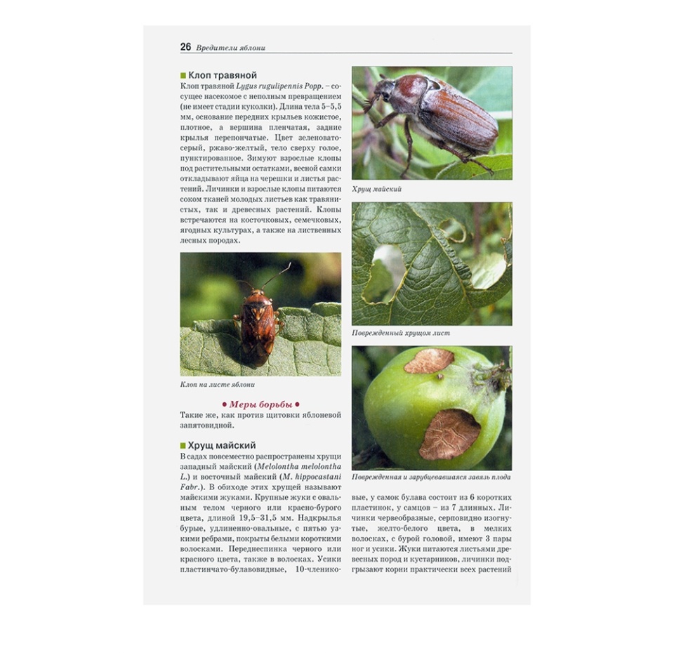 

Книга «Болезни и вредители плодовых растений. Атлас-определитель» Трейвас Любовь, Каштанова Ольга, «Фитон Xxi», Россия