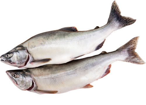 

Горбуша потрошенная Лента Fresh (из мороженого сырья) с головой полуфабрикат вес