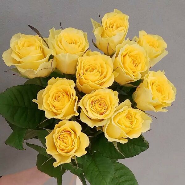 Букет 11 роз под ленту